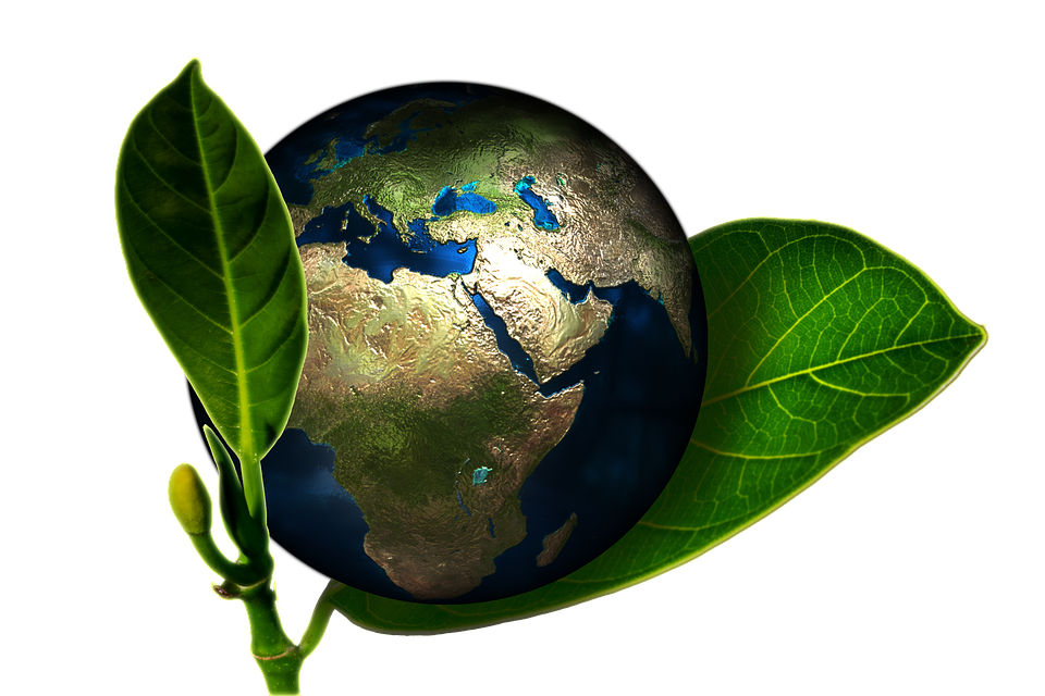 eco friendly symbol